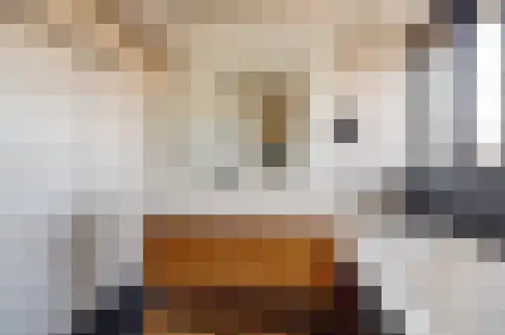Distelveld 16 Waddinxveen thumbnail 39