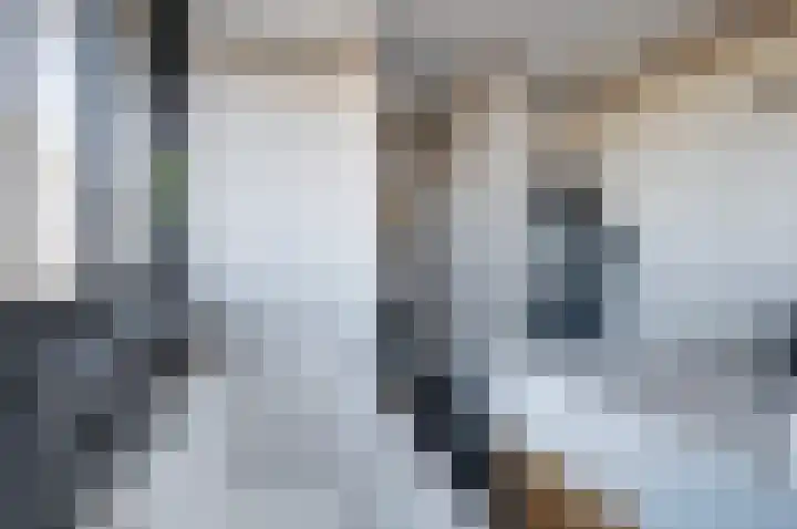 Distelveld 16 Waddinxveen thumbnail 40