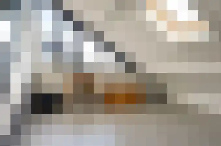 Distelveld 16 Waddinxveen thumbnail 47