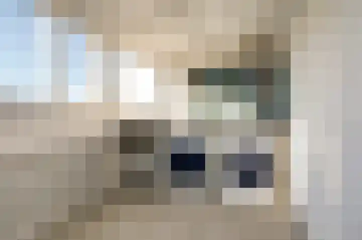 Distelveld 16 Waddinxveen thumbnail 49