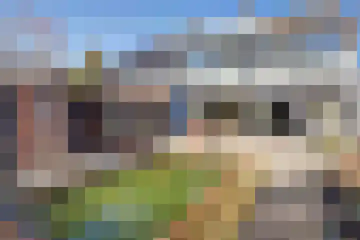 Distelveld 16 Waddinxveen thumbnail 5