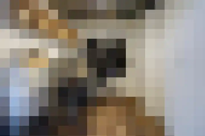 Distelveld 16 Waddinxveen thumbnail 52