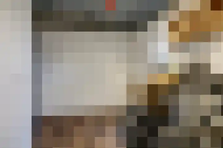 Distelveld 16 Waddinxveen thumbnail 53