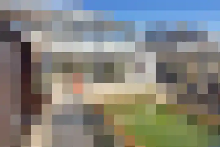 Distelveld 16 Waddinxveen thumbnail 57