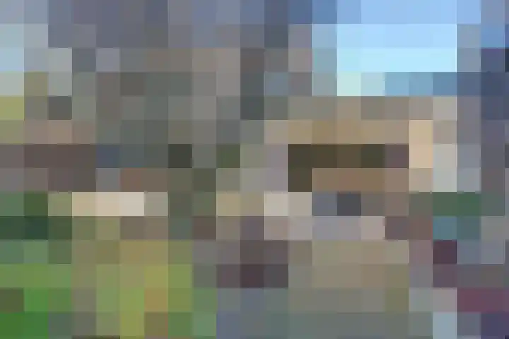 Distelveld 16 Waddinxveen thumbnail 60