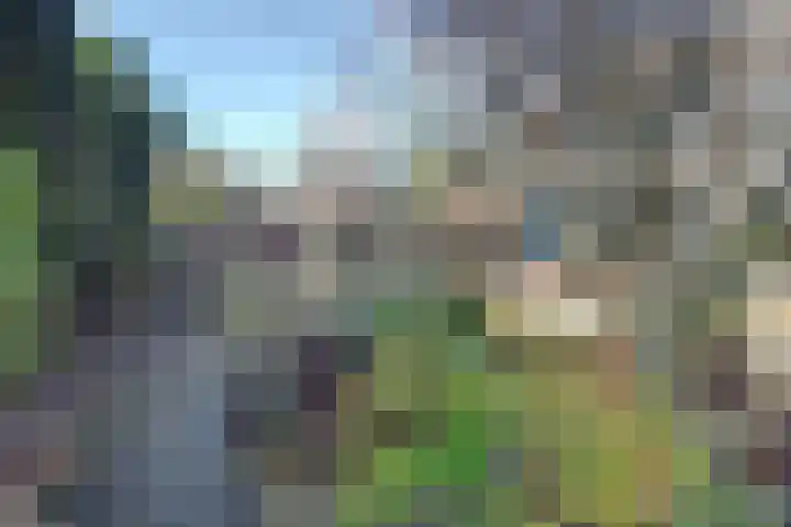 Distelveld 16 Waddinxveen thumbnail 61