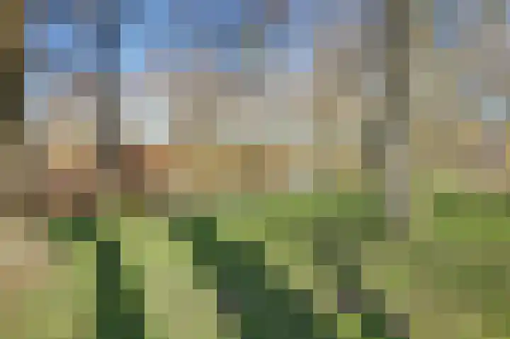 Distelveld 16 Waddinxveen thumbnail 63