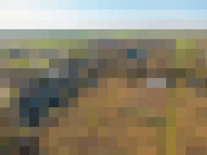 Distelveld 16 Waddinxveen thumbnail 67