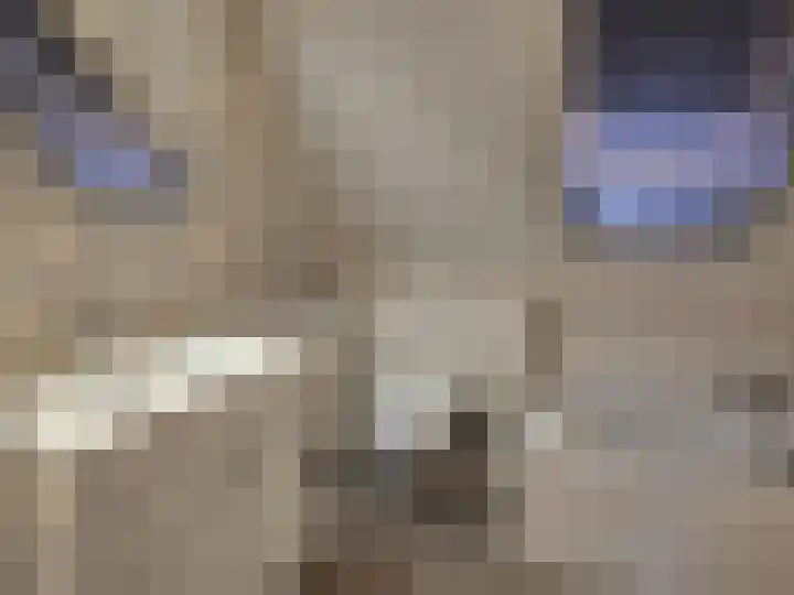 Distelveld 28 Wintelre thumbnail 10