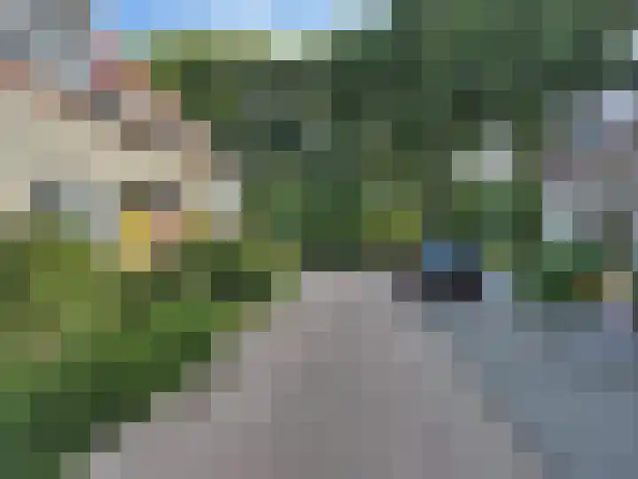 Distelveld 28 Wintelre foto 2