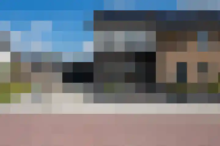 Distelvink 66 Emmen thumbnail 16