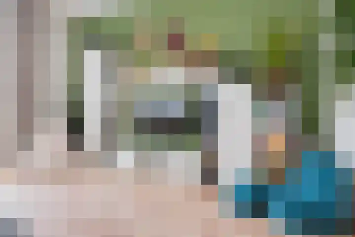 Distelvink 66 Emmen thumbnail 16