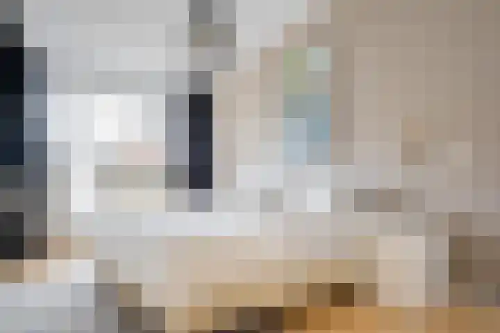 Distelvink 66 Emmen thumbnail 22