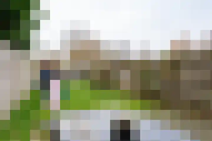 Distelvink 66 Emmen thumbnail 33
