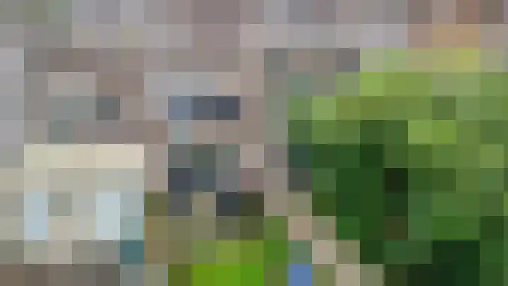 Distelvink 66 Emmen thumbnail 35