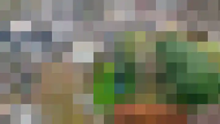 Distelvink 66 Emmen thumbnail 36