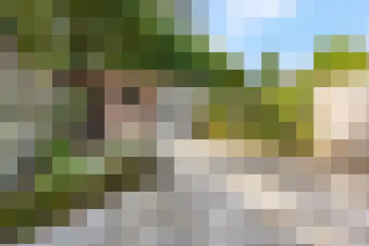 Distelvinklaan 30 Maarn thumbnail 32