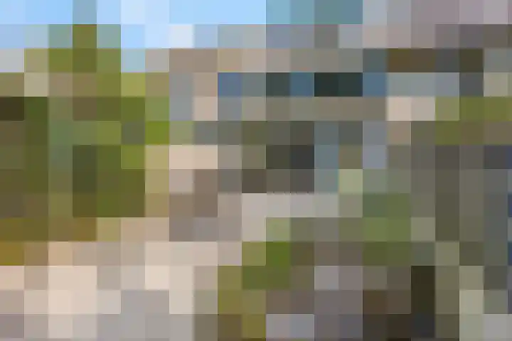 Distelvinklaan 30 Maarn thumbnail 34