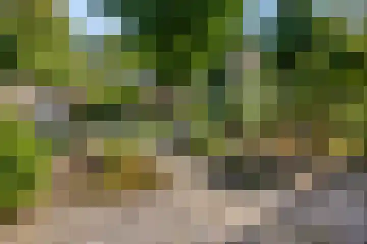 Distelvinklaan 30 Maarn thumbnail 38