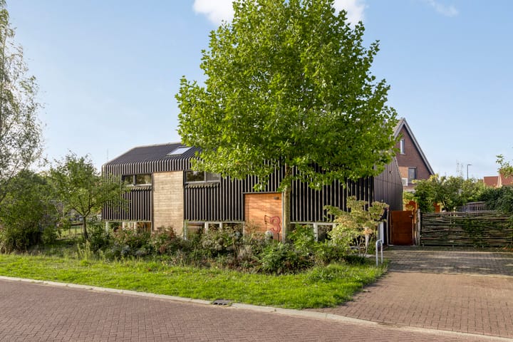 Distelvlinder 3 in Mierlo foto