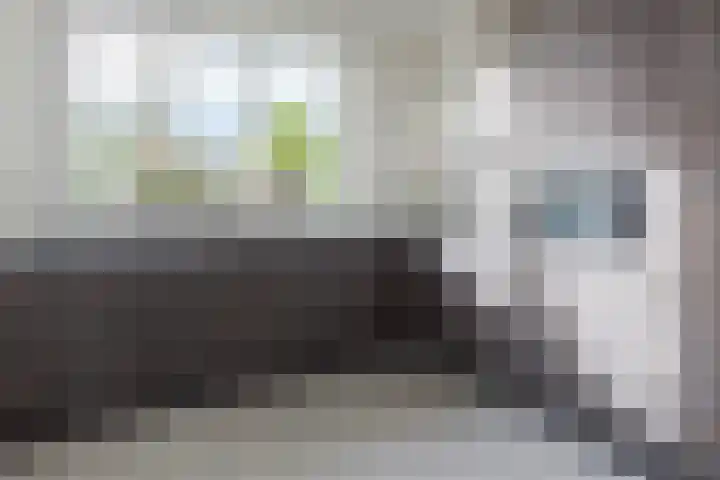 Distelvlinder 43 Wolvega thumbnail 11