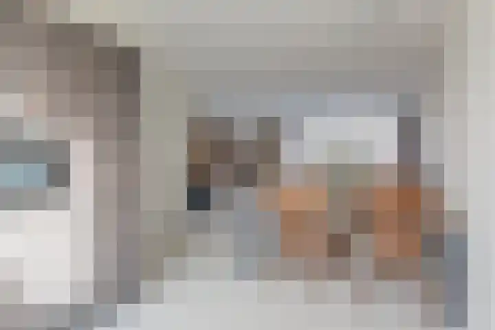 Distelvlinder 43 Wolvega thumbnail 12
