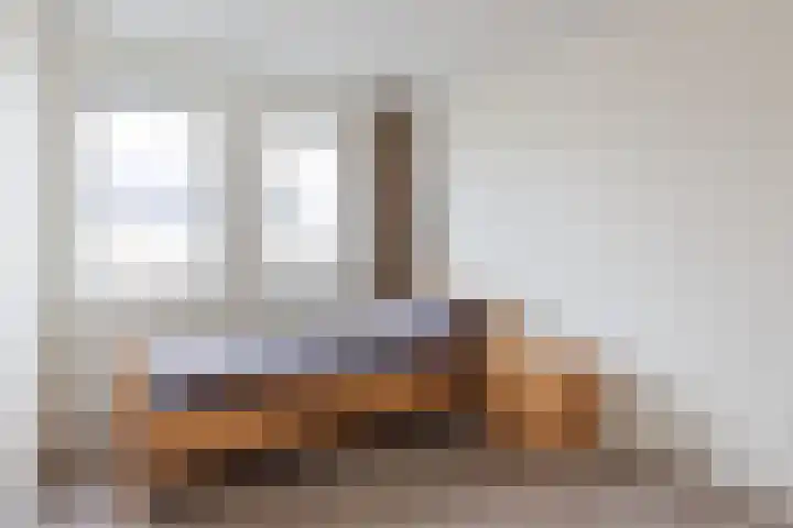 Distelvlinder 43 Wolvega thumbnail 16