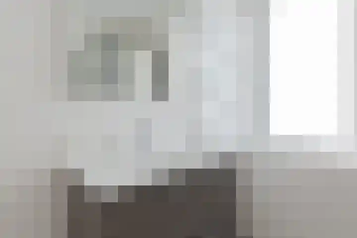 Distelvlinder 43 Wolvega thumbnail 20