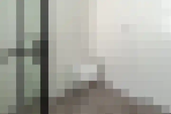 Distelvlinder 43 Wolvega thumbnail 21
