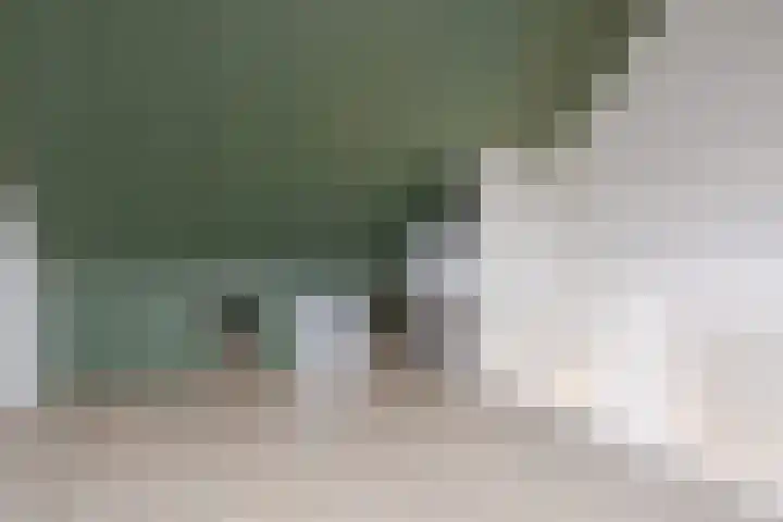 Distelvlinder 43 Wolvega thumbnail 23