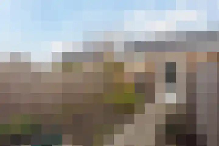 Distelvlinder 43 Wolvega thumbnail 25