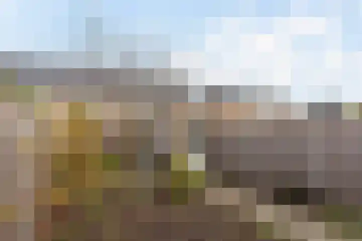 Distelvlinder 43 Wolvega thumbnail 26