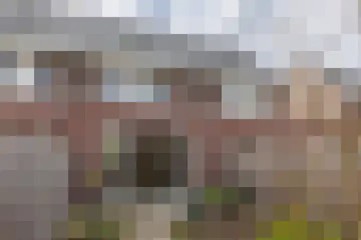 Distelvlinder 43 Wolvega thumbnail 27