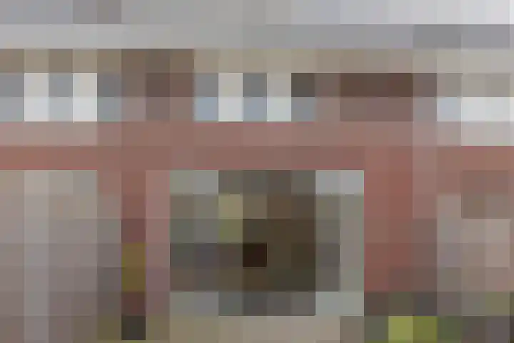 Distelvlinder 43 Wolvega thumbnail 28