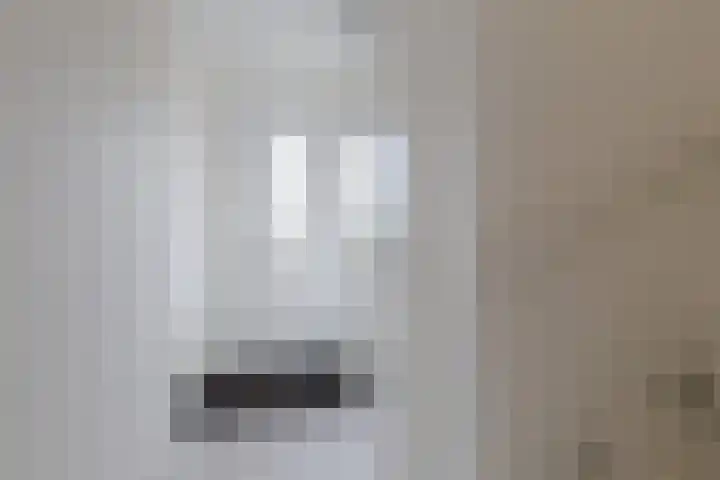 Distelvlinder 43 Wolvega thumbnail 4