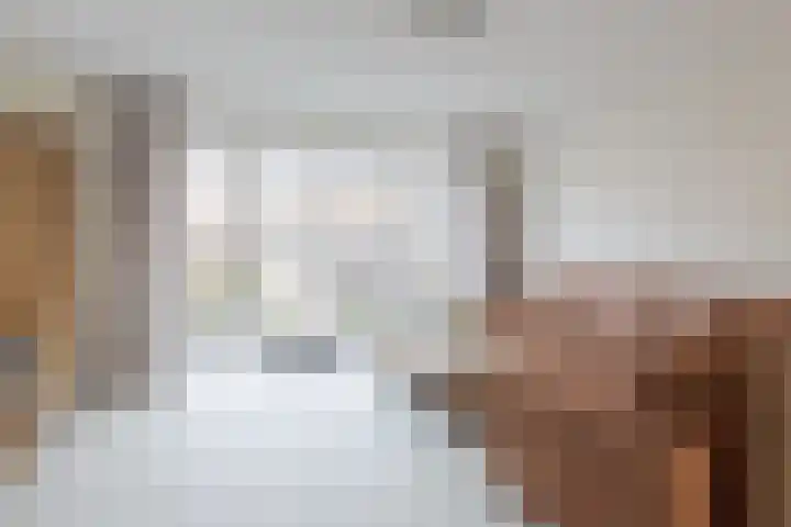 Distelvlinder 43 Wolvega thumbnail 7
