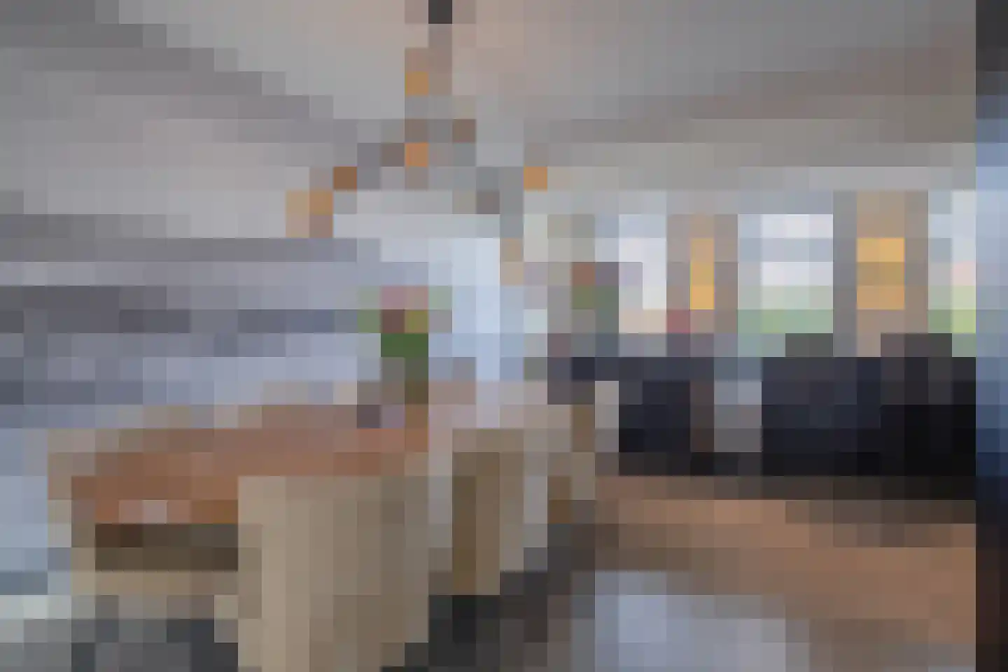 Distelvlinder 47 Den Burg thumbnail 11