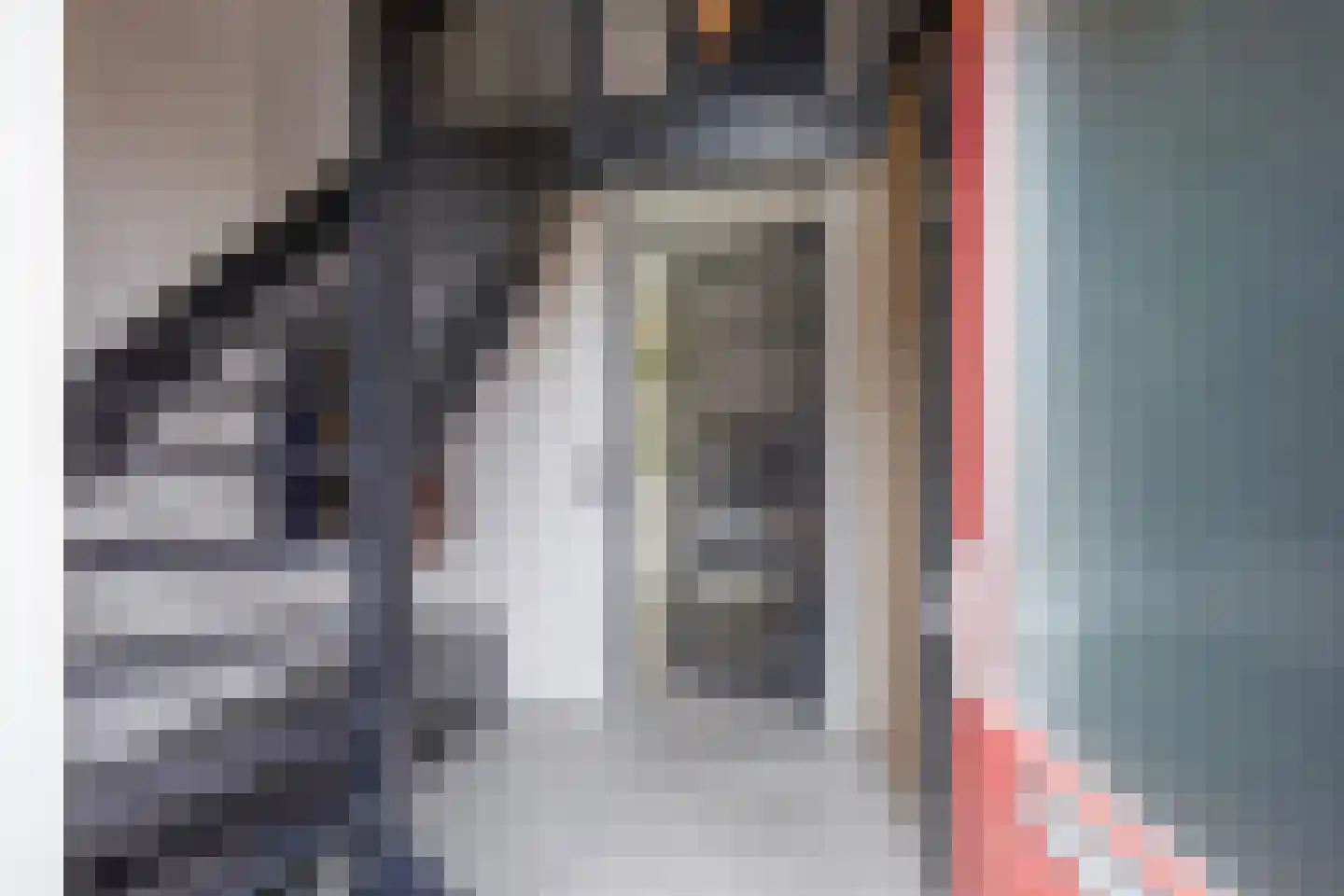 Distelvlinder 47 Den Burg thumbnail 19