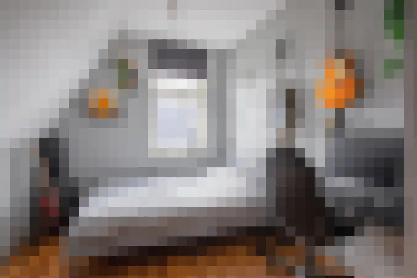 Distelvlinder 47 Den Burg thumbnail 27