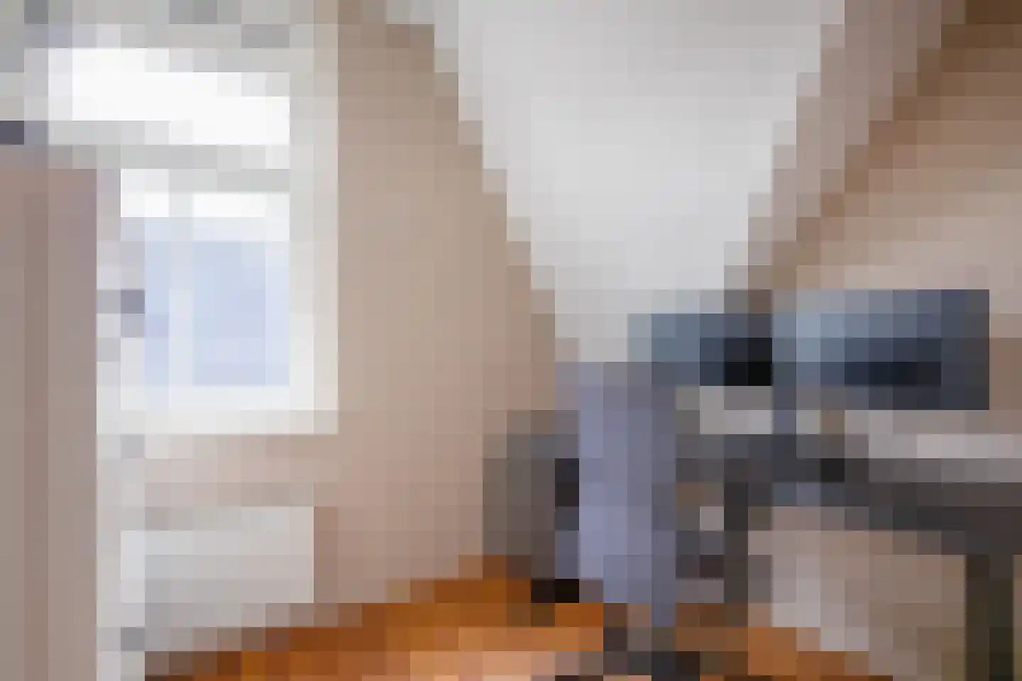 Distelvlinder 47 Den Burg thumbnail 29