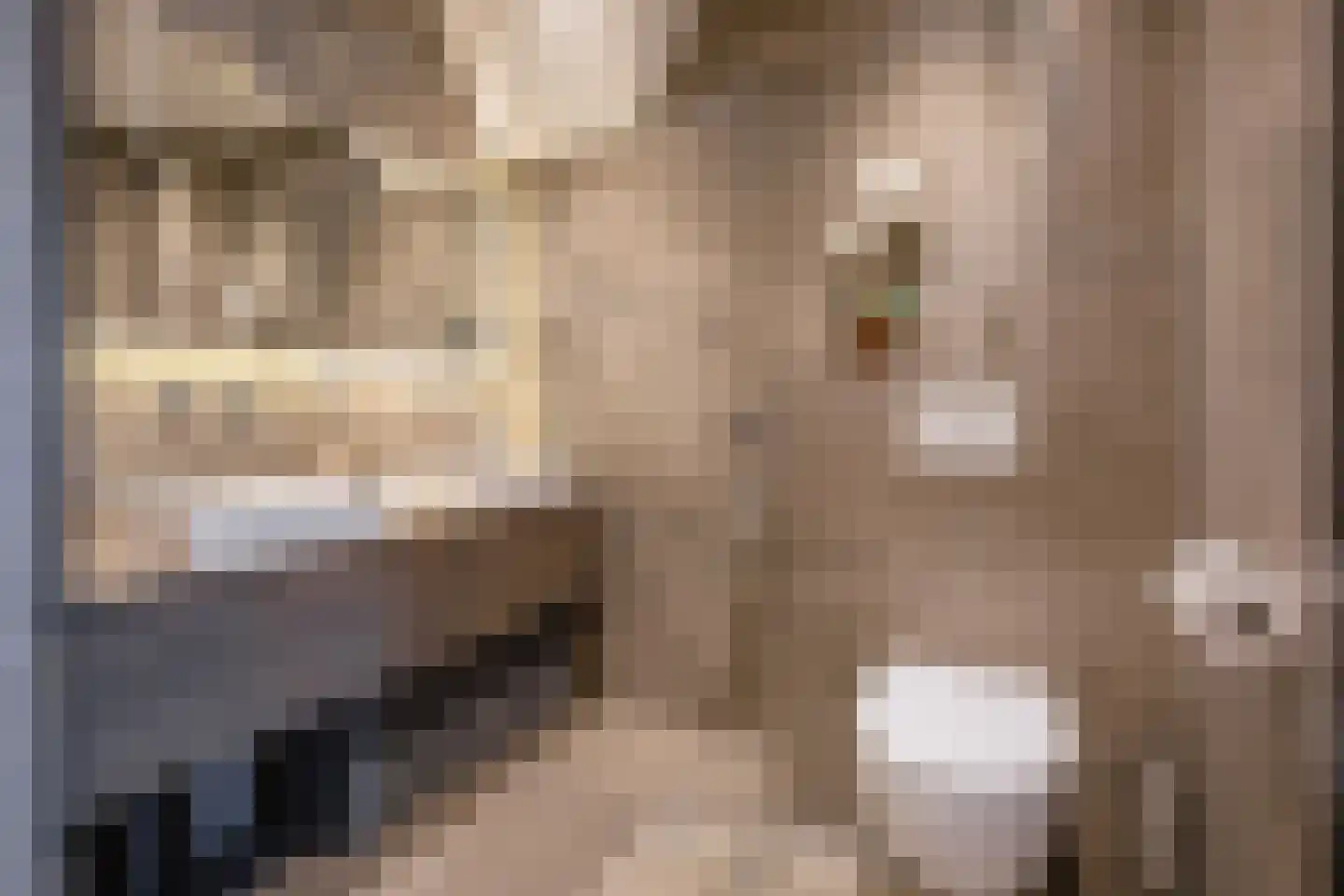 Distelvlinder 47 Den Burg thumbnail 30