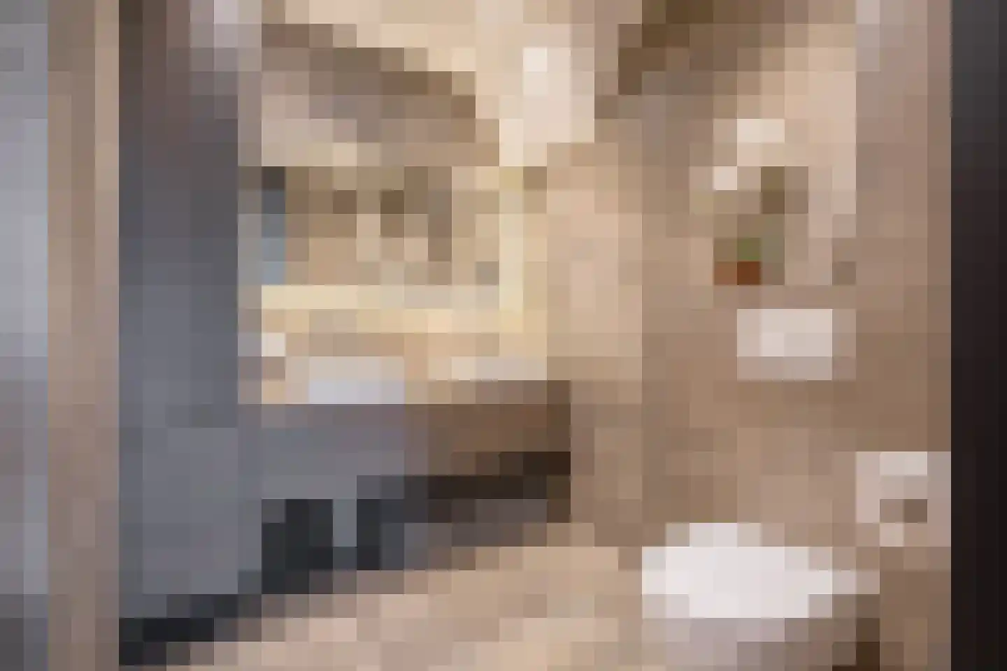 Distelvlinder 47 Den Burg thumbnail 31