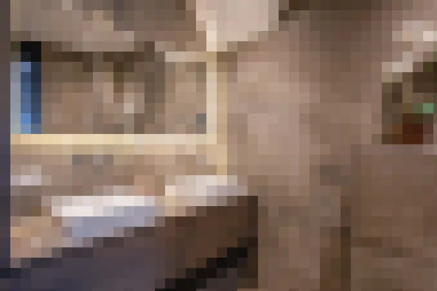 Distelvlinder 47 Den Burg thumbnail 32