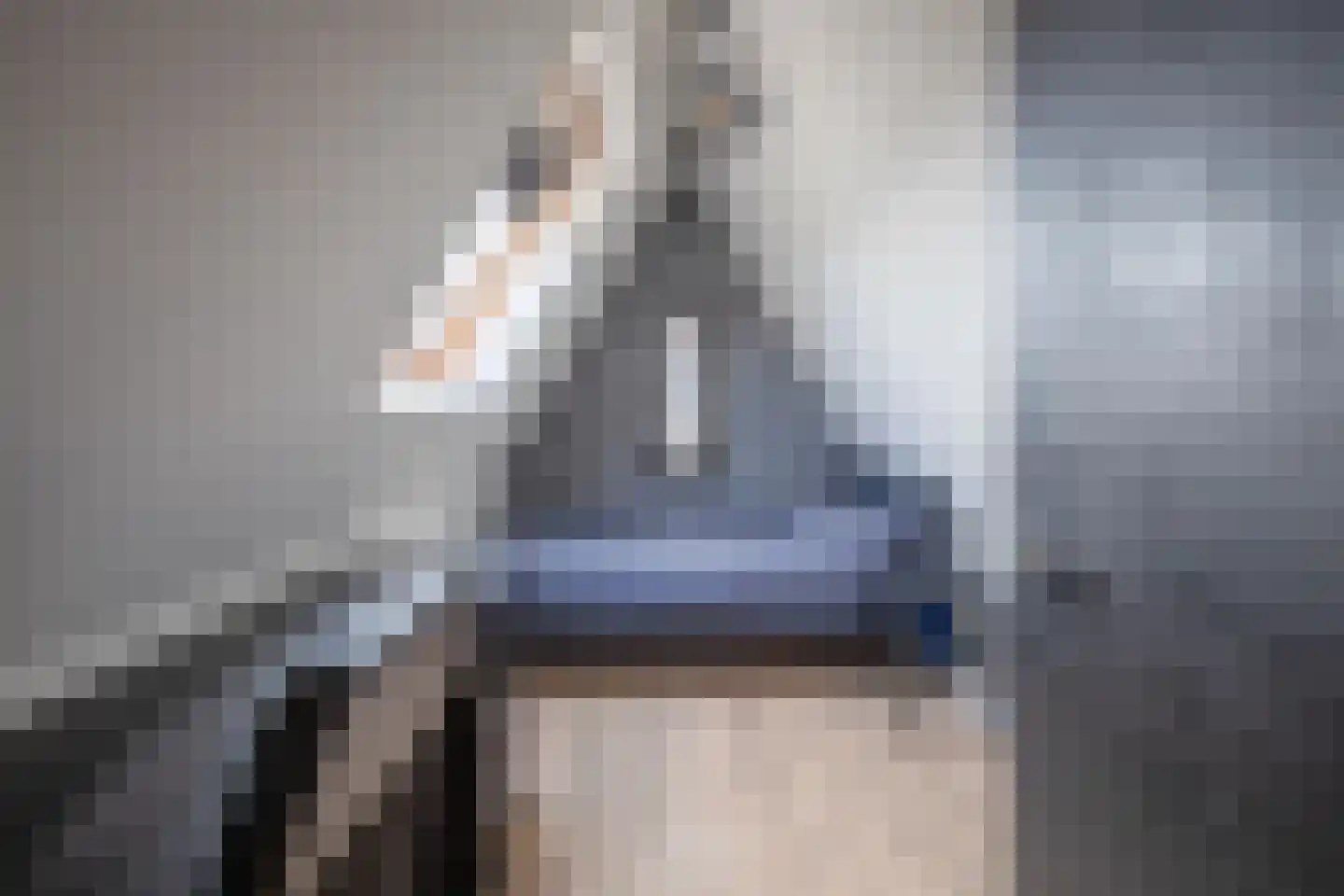 Distelvlinder 47 Den Burg thumbnail 34