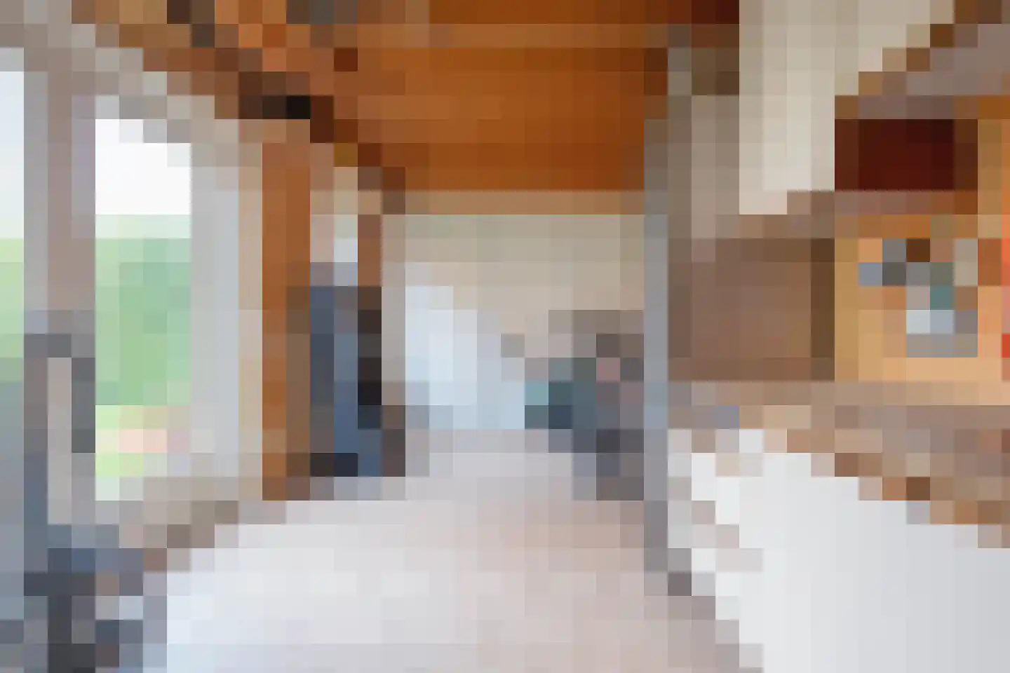 Distelvlinder 47 Den Burg thumbnail 39