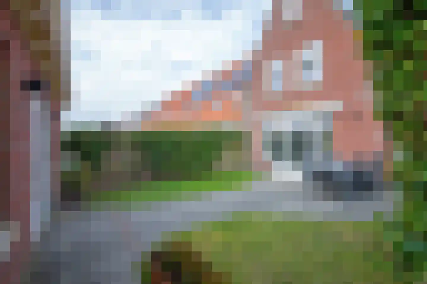 Distelvlinder 47 Den Burg thumbnail 42