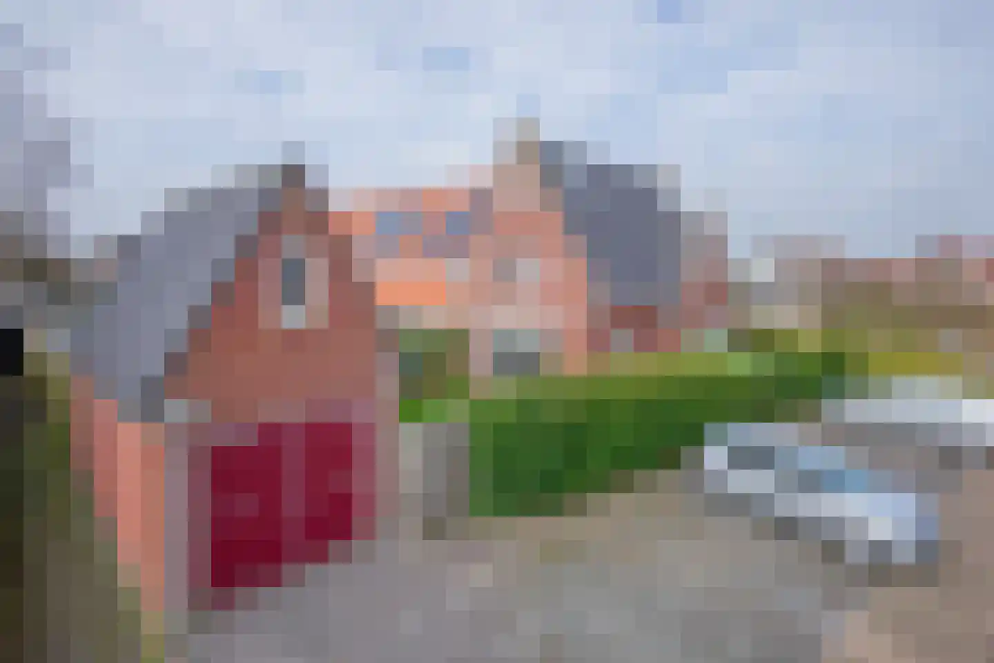 Distelvlinder 47 Den Burg thumbnail 44