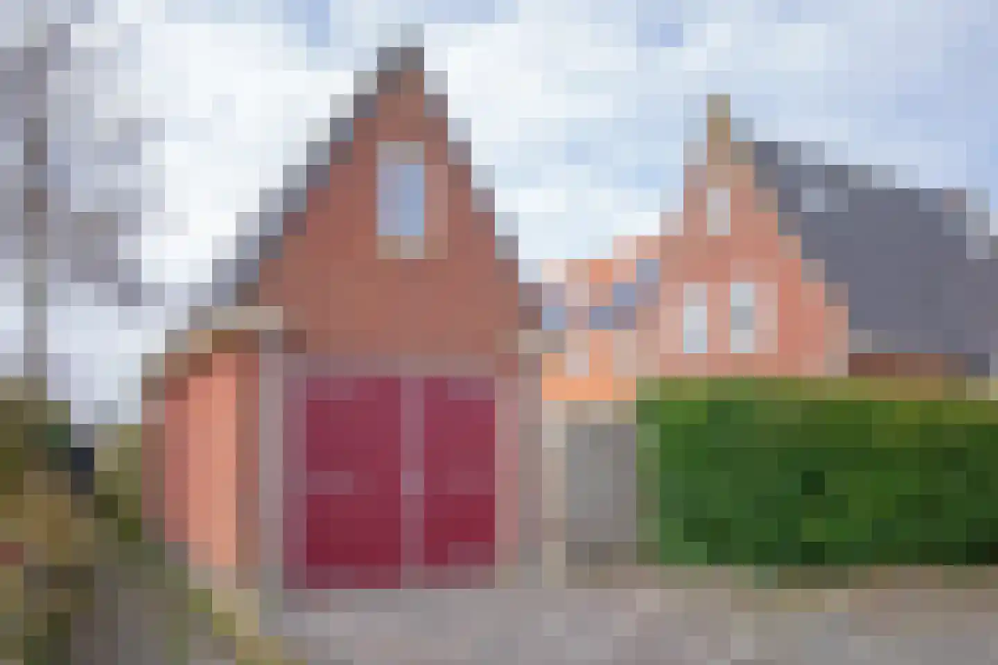 Distelvlinder 47 Den Burg thumbnail 45