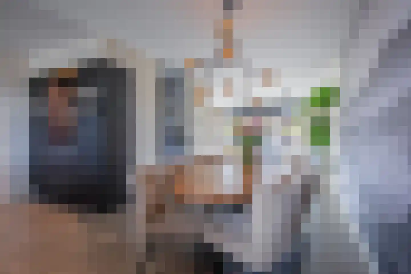 Distelvlinder 47 Den Burg thumbnail 8