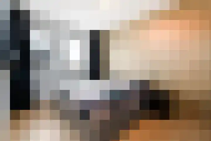 Distelvlinder 51 Wolvega thumbnail 11